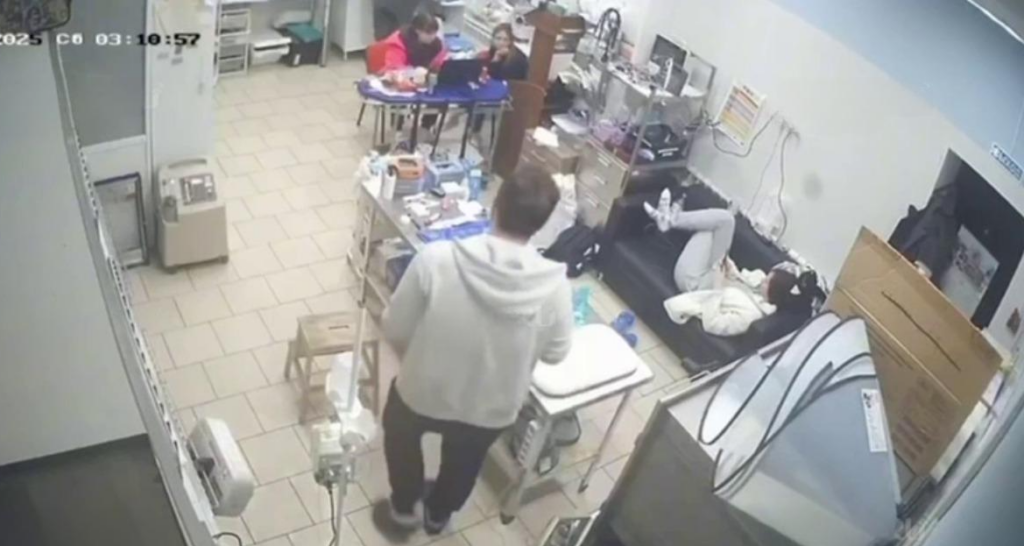 В московской ветклинике медики не спешили помогать умирающей собаке