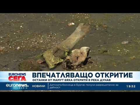 Кости мамонта нашли в Болгарии